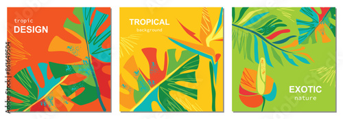 Set of summer bright cards with abstract tropical leaves. Monstera leaves, palm, tropical flowers. In a modern minimalist style. Template for ad, cover, social, poster, sales. Square vector.