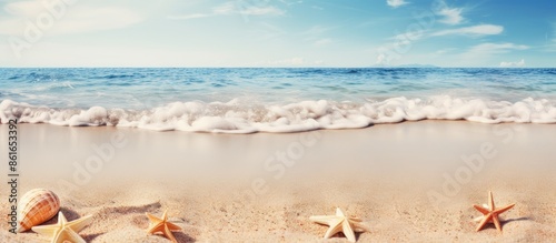 Summer backdrop featuring s...