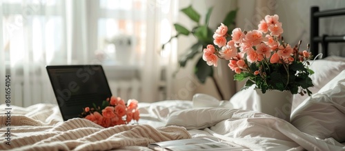 Begonia flowers, laptop and...