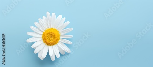 Top view of a single chamom...