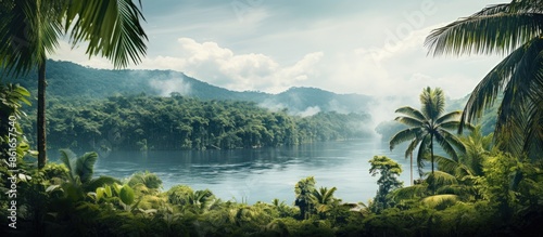 Close-up image featuring a tropical landscape with lush palm trees and verdant vegetation in the foreground, perfect for copy space inclusion. © vxnaghiyev