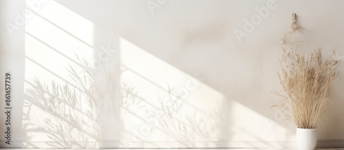 Delicate grass shadows on a...