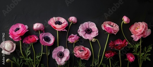Black background with pink ...