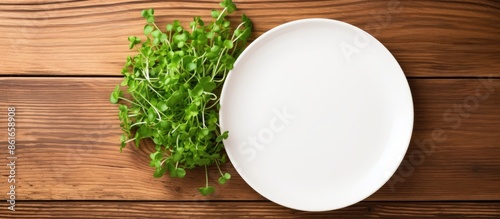 Top view of a white plate w...