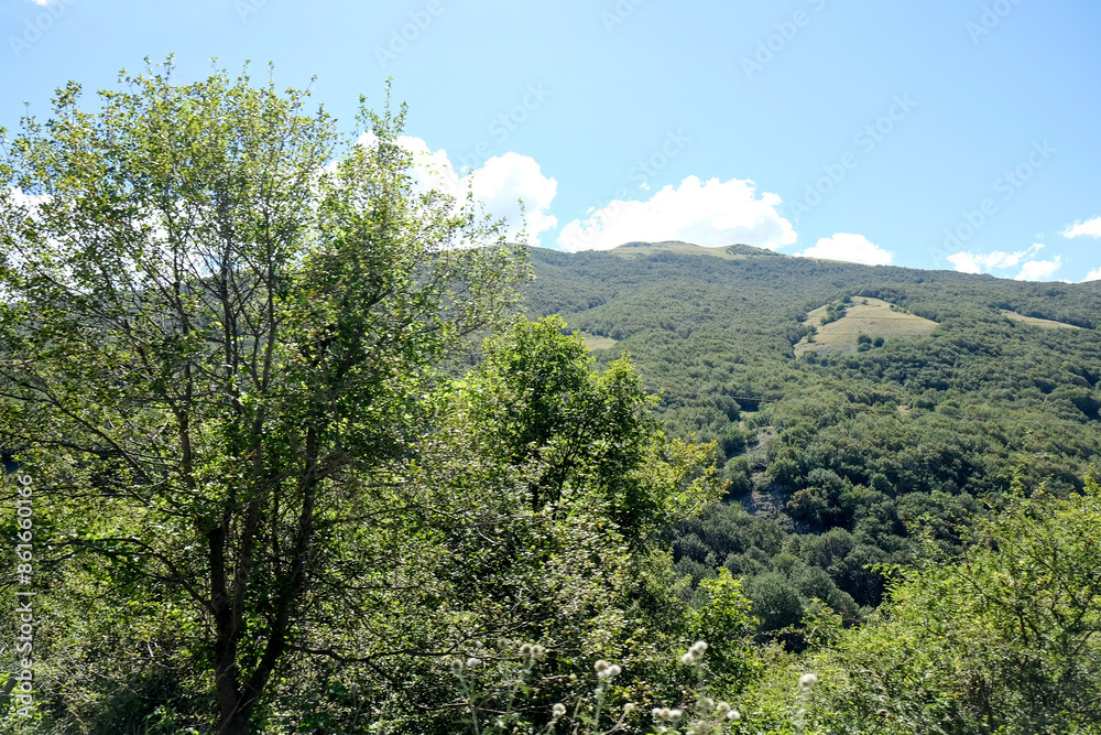 On the hillside, trees and grass grow, framed by distant mountains. The scene includes the sky, clouds, and a natural landscape of terrestrial plants Abruzzo national park On the hillside, trees and grass grow, framed by distant mountains. The scene includes the sky, clouds, and a natural landscape of terrestrial plants Abruzzo national park