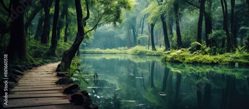 A serene lake surrounded by...