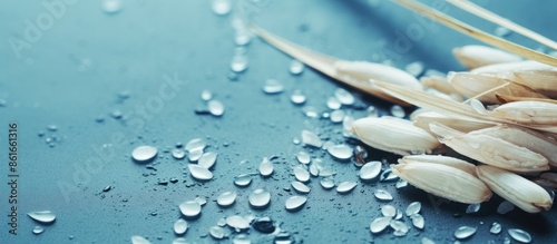Rice seed with water drople...