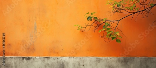 Tree leaves on vine with co...