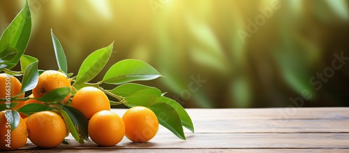 Ripe kumquats with leaves d...