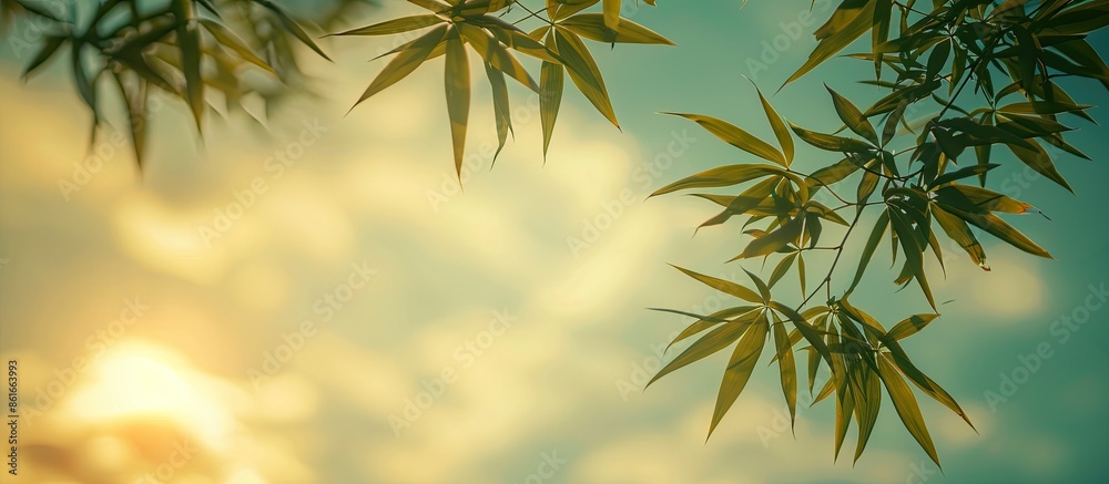 Fototapeta premium Scenic view of bamboo leaves set against a peaceful sky creating a serene landscape in a copy space image.