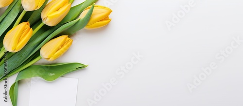 White background featuring ...