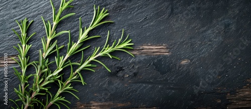 A sprig of fresh rosemary d...