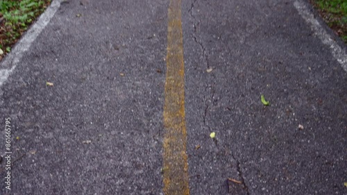 Wallpaper Mural Straight road with a yellow line in a forest road Torontodigital.ca