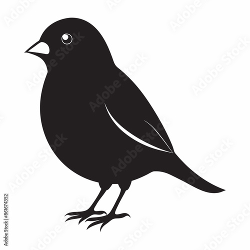 bird silhouettes black colour white colour background © Design thinking6 