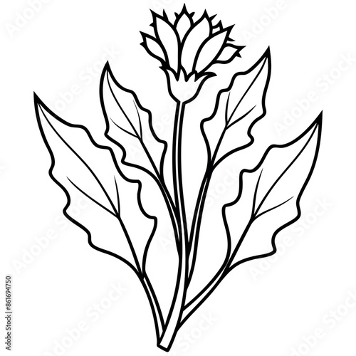 Hand-drawn, a basic sketch of a flower
