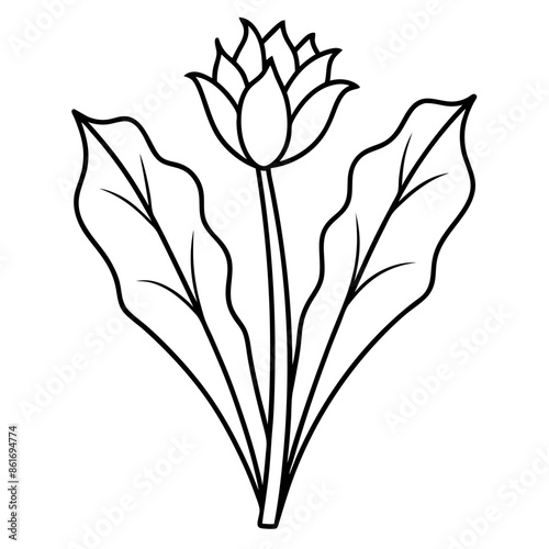 Hand-drawn, a basic sketch of a flower
