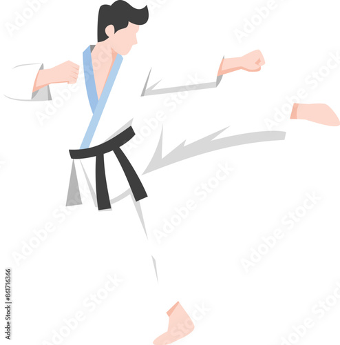 karate kung fu master Vector. karate moves illustration