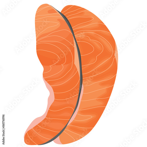 Fresh Raw Salmon Filled Vector Illustration