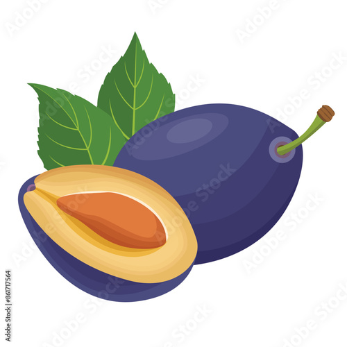 Purple Ripe Plum Fruits Vector Illustration