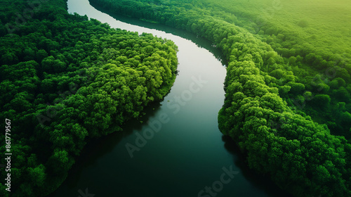 A drone shot of a winding river through lush greenery, summer, river, hd, scenic with copy space