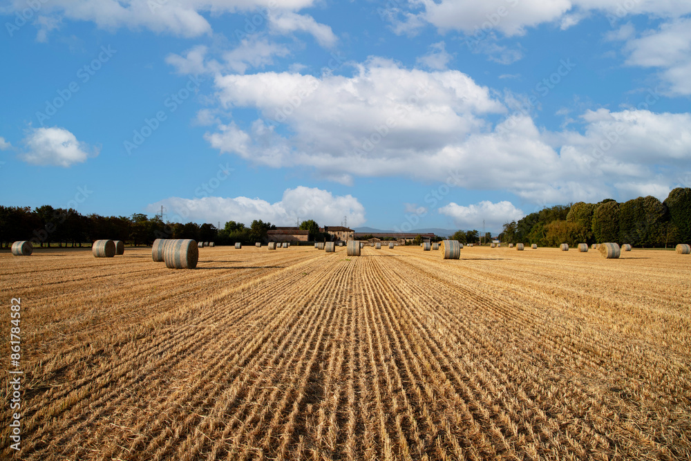 field, landscape, agriculture, sky, farm, nature, wheat, harvest, rural, crop, blue, countryside, summer, straw, farming, cloud, autumn, land, hay, yellow, fields, outdoors, cereal, stubble, grass, cl field, landscape, agriculture, sky, farm, nature, wheat, harvest, rural, crop, blue, countryside, summer, straw, farming, cloud, autumn, land, hay, yellow, fields, outdoors, cereal, stubble, grass, cl