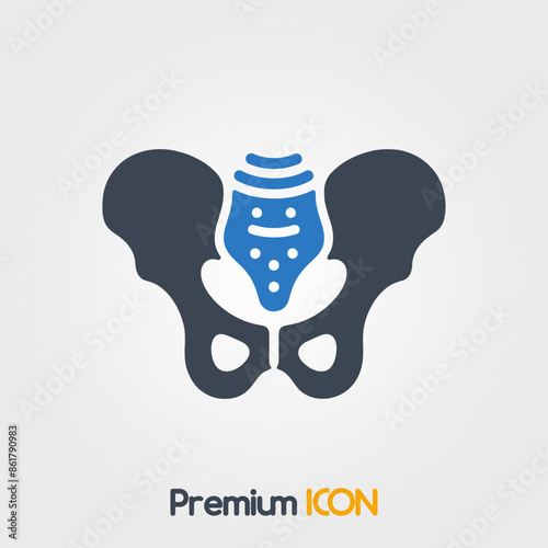 Pelvis Icon