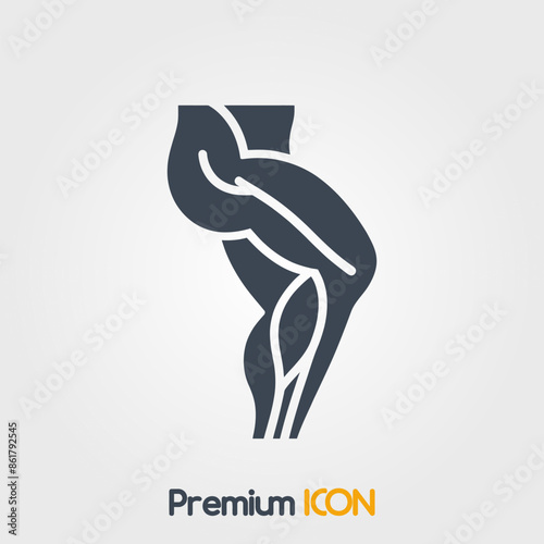 Quadriceps Icon