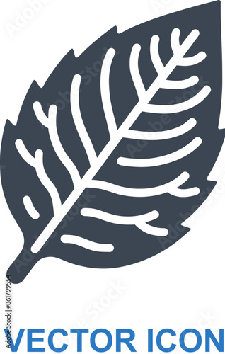 Tobacco Leaf Icon