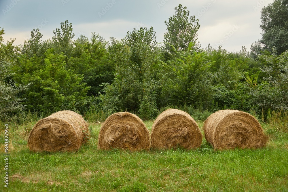 Agricultural field with hay bails Agricultural field with hay bails