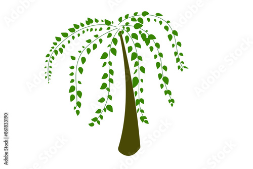Tree with green leaves and long branches