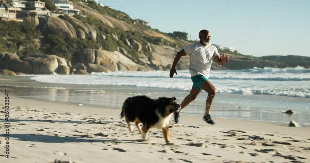 Fitness, running and man with dog by beach for race, workout or marathon training with health. Sports, pet and mature African male athlete by tropical ocean or sea for cardio exercise with puppy.