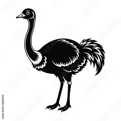 Emu Silhouette Artistic Nature Design