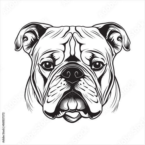Bulldog face silhouette vector  illustration line design
