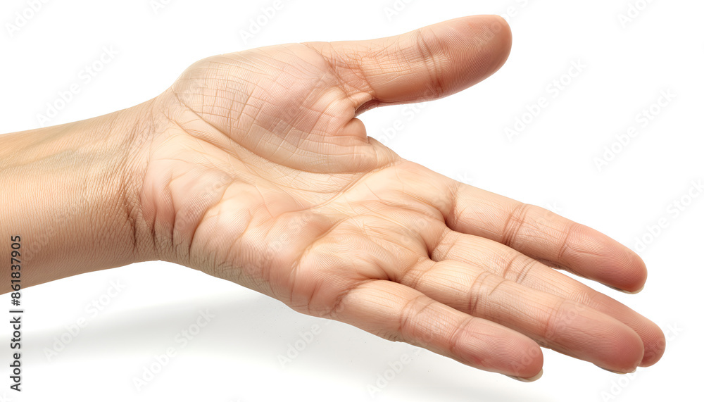Hand empty isolated on white background Hand empty isolated on white background