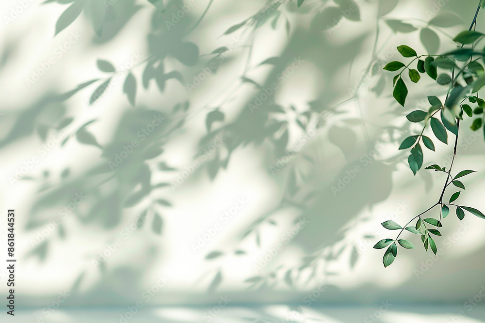 Shadows of leaves on a white wall creating a soft and natural pattern. This image can be used as a background with copy space Shadows of leaves on a white wall creating a soft and natural pattern. This image can be used as a background with copy space