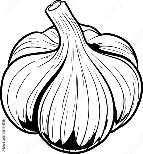 Garlic clipart desing illustration