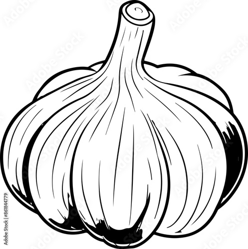 Garlic clipart desing illustration