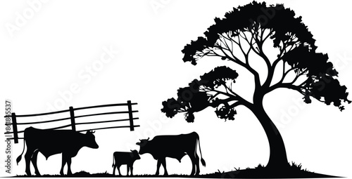 Serene Farm Scene – Cow family, tame animals