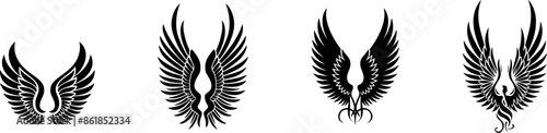 Wings Illustration (5)