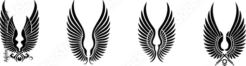 Wings Illustration (2)