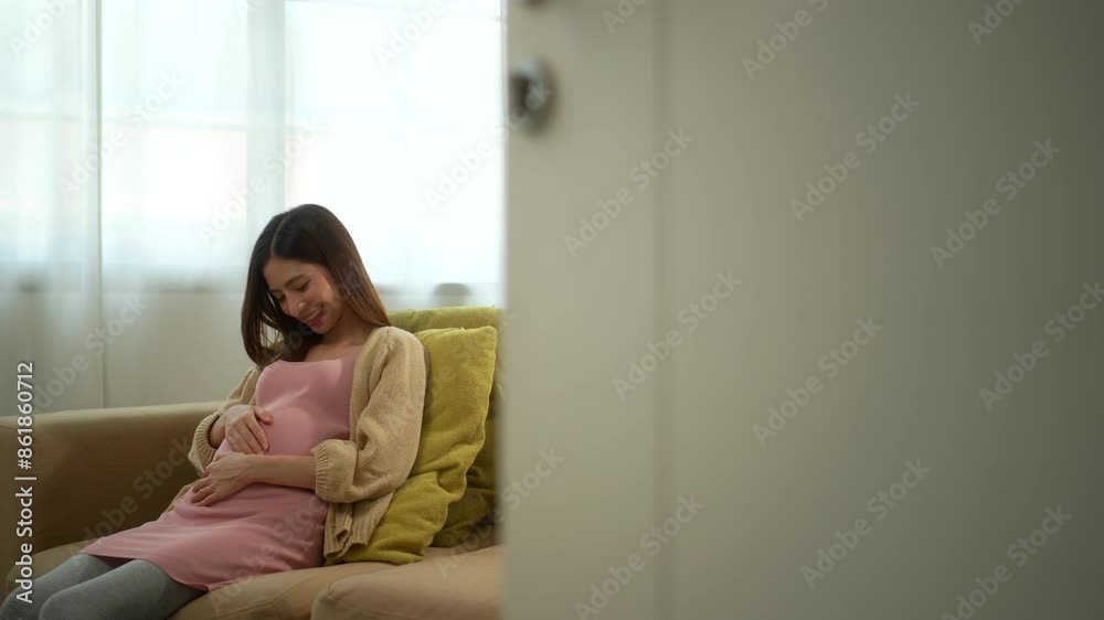 Happy pregnant woman caressing her belly while taking rest on sofa at home, concept of happy motherhood waiting for childbirth, family planning and pregnancy with insurance for child health.
Happy pregnant woman caressing her belly while taking rest on sofa at home, concept of happy motherhood waiting for childbirth, family planning and pregnancy with insurance for child health.