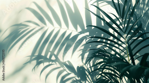 background with plant leaves and shadows