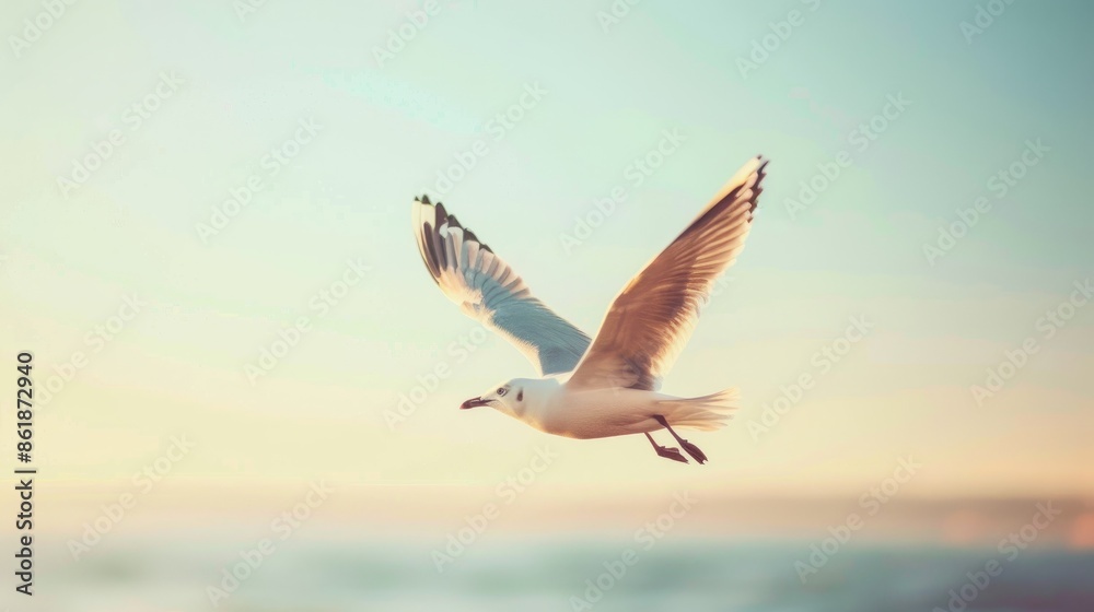 Naklejka premium Seagull in flight against clear sky with blurred background