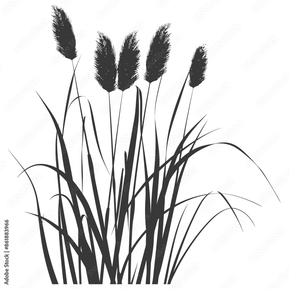 black water reed plant cattails leaf black color only