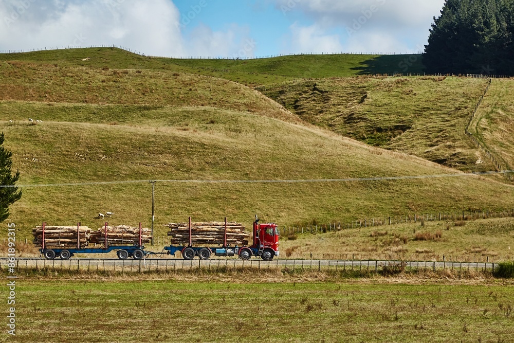 Fototapeta premium Logging track carrying timber in New Zealand