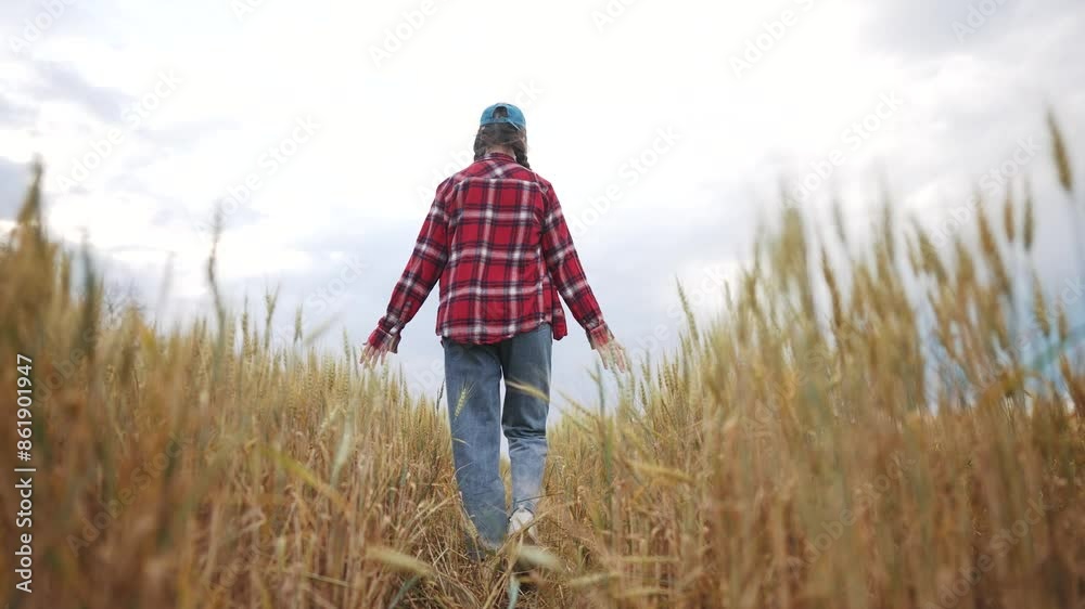 A girl farmer is in a field of wheat. Agriculture girl teen nature concept. A farmer girl walking through a field of wheat. Girl is walking through field wheat. business farming lifestyle concept. A girl farmer is in a field of wheat. Agriculture girl teen nature concept. A farmer girl walking through a field of wheat. Girl is walking through field wheat. business farming lifestyle concept.