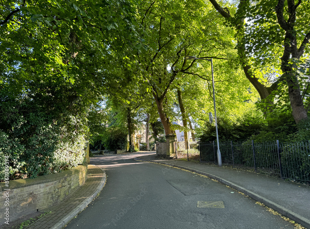 A canopy of green trees casts shade over a curving road in a serene residential area. A footpath runs alongside the road, bordered by a stone wall on, Clifton Villas, Bradford, UK
