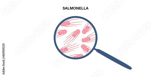 .Salmonella Typhimurium Cells