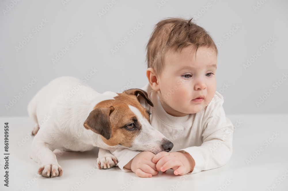 Cute baby boy and Jack Russell terrier dog lying in an embrace on a white background. Cute baby boy and Jack Russell terrier dog lying in an embrace on a white background.