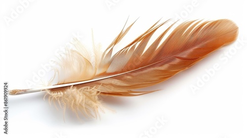 Single brown feather on white. A single brown feather isolated on a white background, perfect for design projects related to nature, birds, or softness.